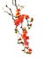 Ancient Chinese Traditional Brush Handmade Ink Painting - kapok tree; ceiba; silk cotton