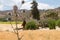 Ancient church of Archangelos Michael behind thorns at Galata,