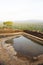 Ancient Cistern at Sigiriya, Sri Lanka