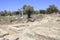 Ancient City of Biblical Ashkelon in Israel