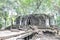 Ancient city in jungle,Beng Mealea