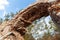 Ancient city of Syedra, Turkey. Low angle view of antique ruined wall with arch with trees on background. Close-up. Selective