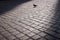 The ancient cobblestones are partially illuminated by the sun\\\'s rays in a slight refocused
