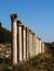 Ancient collumns in Ephesus