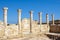 Ancient colonnade at Kato Paphos Archaeological Park. Paphos