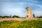 Ancient columns of Apollon Hylates,  sanctuary in Limassol district, Cyprus