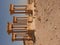 Ancient columns, Palmyra