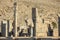Ancient columns in Persepolis city