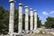 Ancient Columns in Priene