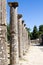 Ancient columns and ruins in Olympia,