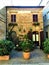 Ancient corner, plants and history in Monterubbiano town, Fermo province, Marche region, Italy