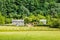 Ancient cottage and sheep Snowdonia NP, Wales, UK