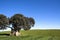 Ancient Dolmen