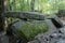 Ancient dolmen in the depths of the forest in the valley of the Pshada River in the Caucasus