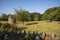 Ancient Dovecote in a small field, Devon, England, UK