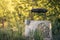 Ancient draw-well in European village, Old Water Well With Pulley and Bucket, Moldova, Green grass and trees. Sunny day. sunset