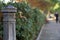 Ancient drinking fountain at street