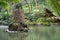 Ancient duck houses resembling a tower or castle at Pena Palace gardens in the Valley of Lakes area. Framed by ferns