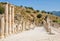 Ancient Efes Efesus city ruins in Turkey