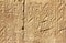 Ancient egypt hieroglyphics on wall