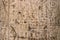 Ancient Egyptian hieroglyphs in column carved in marble - close-up with much detail and chisel marks clear