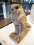 Ancient Egyptian Stone Statues, Owl, Louvre Museum, Paris, France