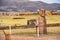 The ancient `El Fraile` monolith at the Tiwanaku archeological site, near La Paz, Bolivia