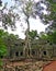 Ancient Elephant Trunk Tree at Preah Ta Phrom