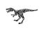 Ancient extinct jurassic velociraptor dinosaur vector illustration ink painted, hand drawn grunge prehistoric reptile, black