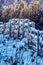 Ancient Farm Fence And Snow Covered Field