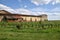 Ancient farmhouse surrounded by its vineyard in Franciacorta - Italy