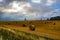 Ancient farming landscape near Avebury in Wiltshire, England