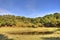 Ancient Forest and Pool on Portuguese Island Plateau