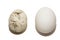 An ancient fossilized egg and a common modern chicken egg. Prehistoric egg and fresh chicken egg.