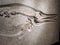 Ancient fossilized small ichthyosaur with shadow - mounted skeleton