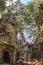 Ancient gallery of amazing Ta Prohm temple overgrown with trees. Mysterious ruins of Ta Prohm nestled among rainforest