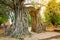 Ancient gate at Wat Phra Ngam Temple, Ayutthaya