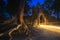 Ancient Gates of Bayon temple in Angkor complex