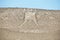 Ancient giant geoglyph known as Atacama giant