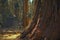 Ancient Giant Sequoia Tree
