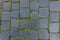 Ancient granite stone floor tile with green grass as background