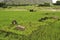 Ancient graves in Ninh Binh. Vietnam