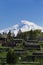 Ancient gravestones, background Ararat, Masis, Etchmiadzin Cathedral, Armenia