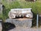 Ancient Greek Marble Ionic Column Capital, Delphi, Greece