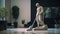 Ancient Greek Marble Man Statue Cleaning Carpet With Dyson Vacuum Cleaner