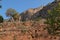 Ancient Greek Stone Wall, Delphi, Greece