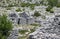 Ancient hand built stone houses found when hiking the croatian mountain of biokovo. Remains of area which were most likely used as