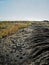 Ancient Hawaiian Petroglyphs