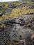 Ancient Hawaiian Petroglyphs at Volcanoes National Park