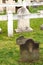 Ancient Headstones on Graves